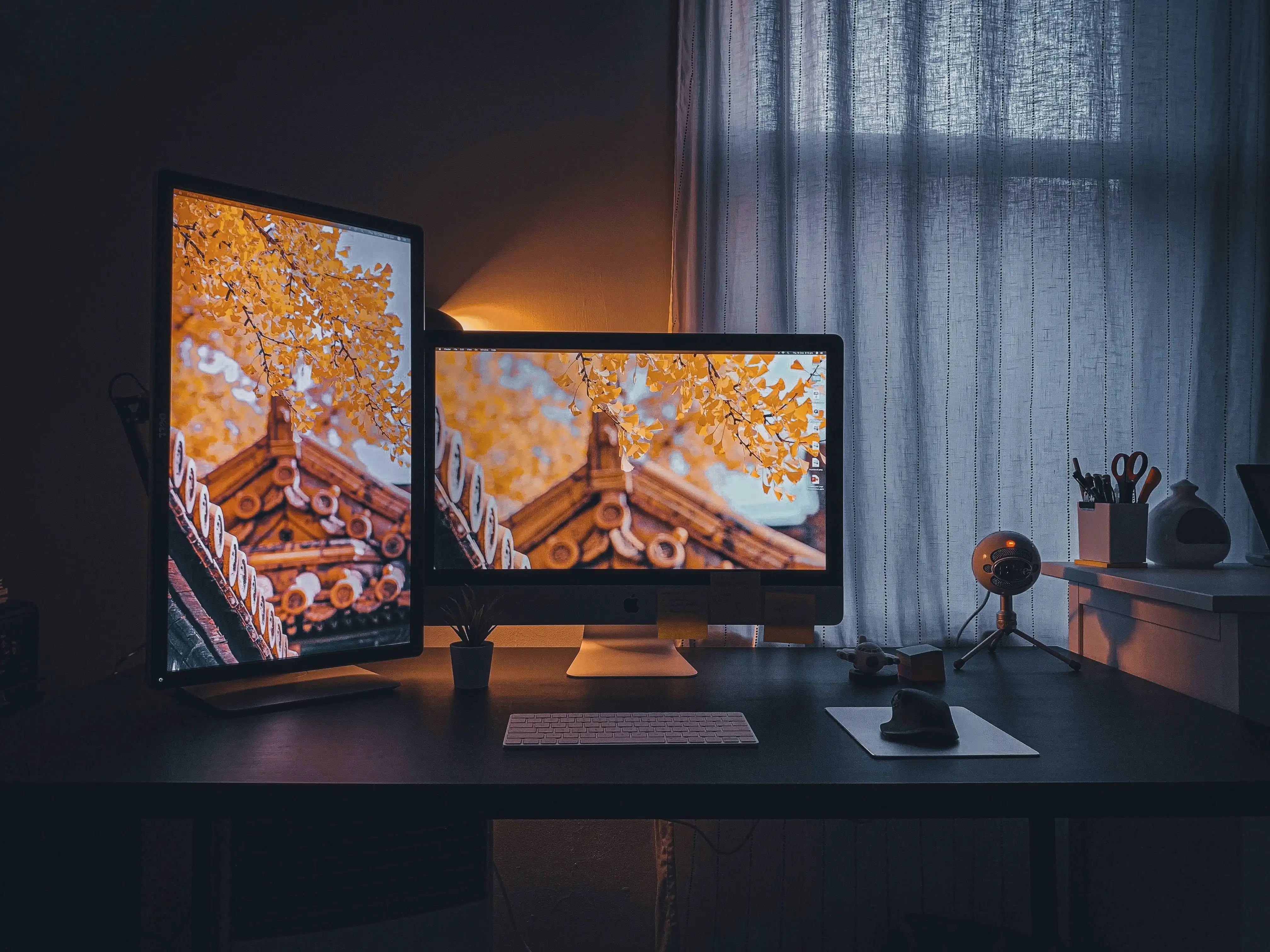 Monitory